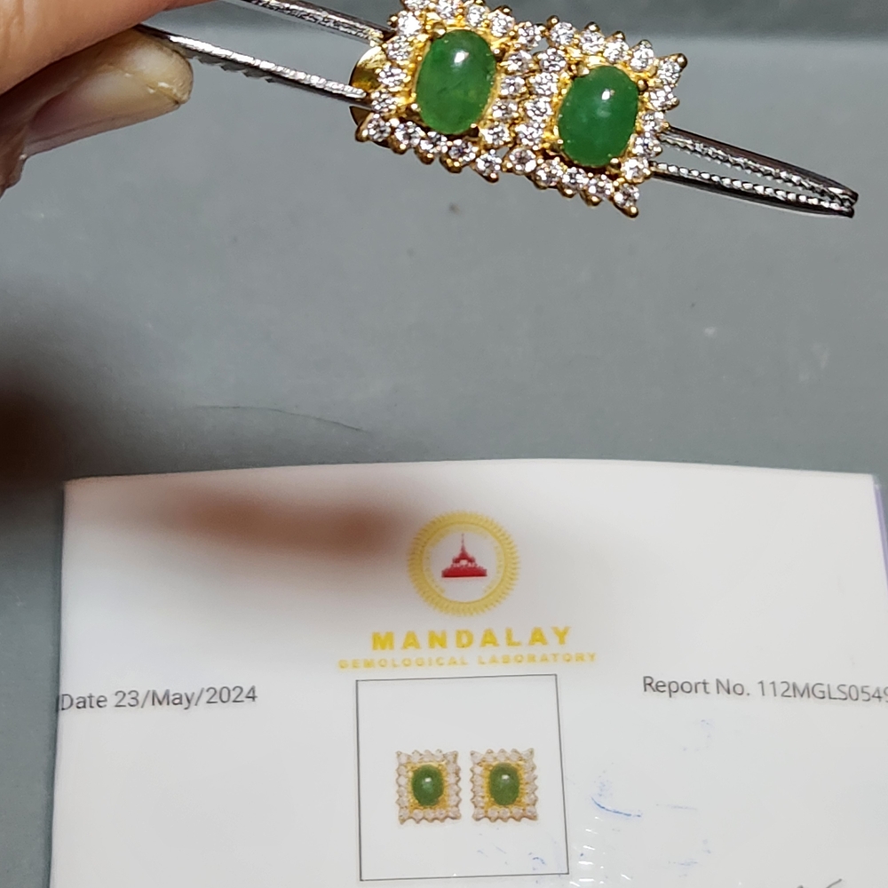 Elegant Green Jadeite Jade Earrings